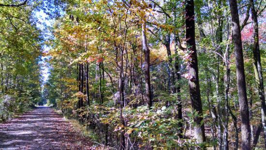 Thacker Mountain Rail Trail