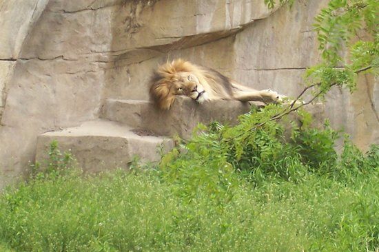 Brookfield Zoo