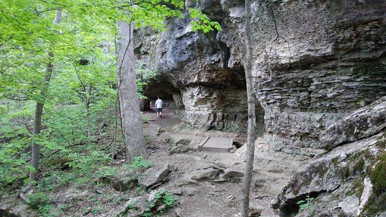 Redbud Valley