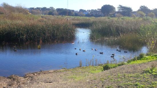 Locke Paddon Park