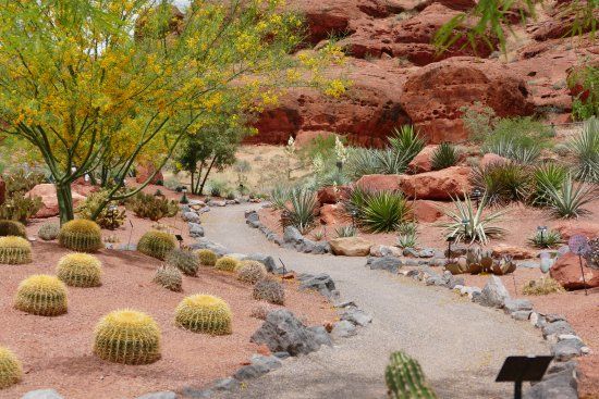 Red Hills Desert Garden