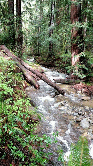 Fall Creek Unit