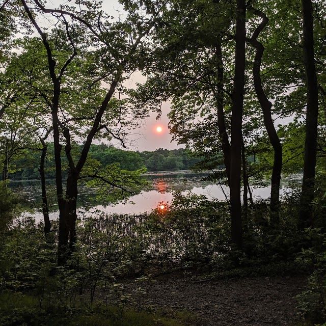 Auburndale Park