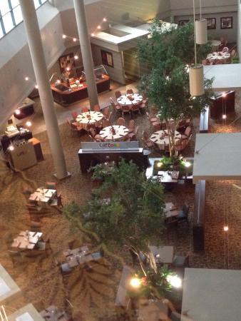Cafe 201