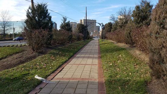 Veteran's Park