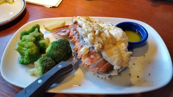 Red Lobster