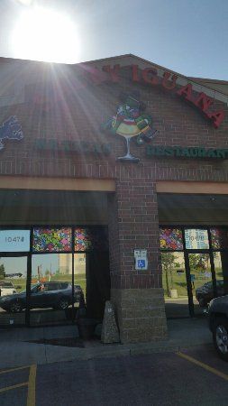 Salty Iguana
