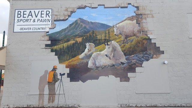 Beaver Sport & Pawn