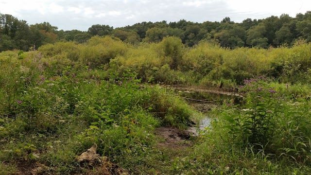 Kleinstuck Preserve