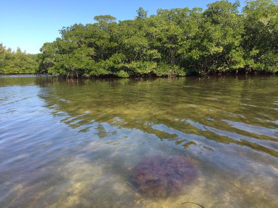 Jim Neville Marine Preserve