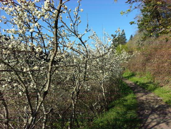 Indian Creek Trail