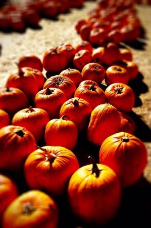 Larry's Produce