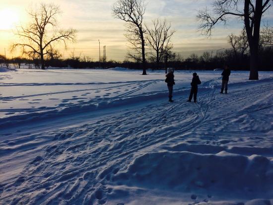 Skokie Lagoons