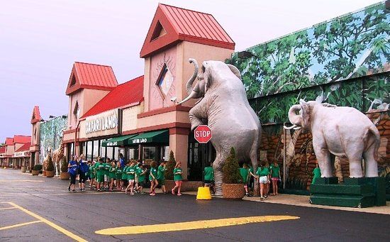Safari Land
