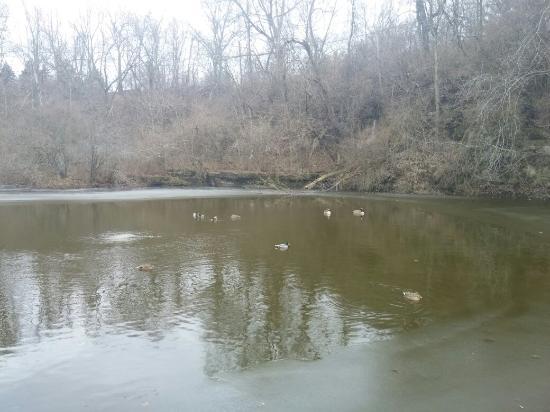 Blue Limestone Park