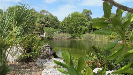Key West Tropical Forest and Botanical Garden