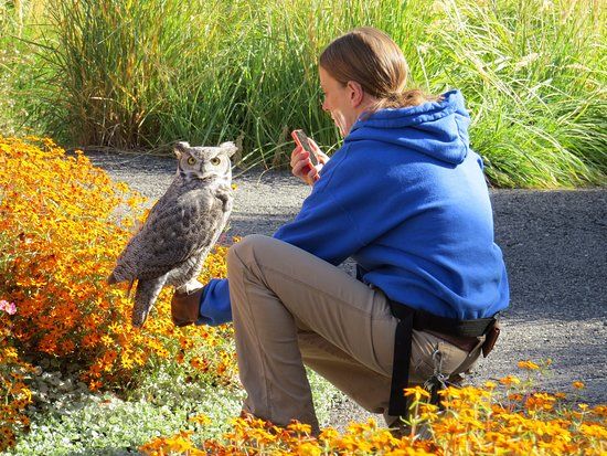 Tracy Aviary