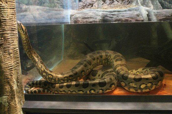 Greensboro Science Center