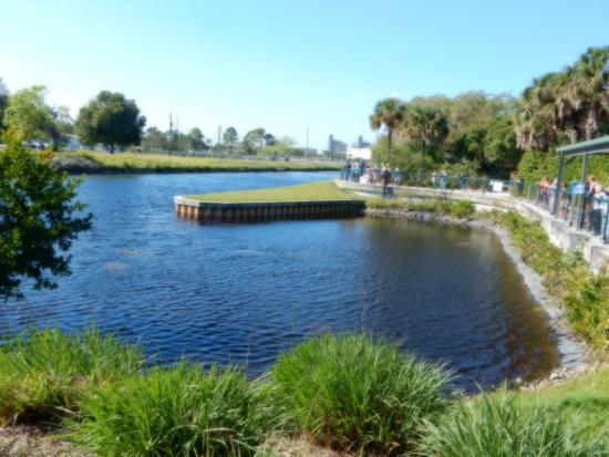 Manatee Park