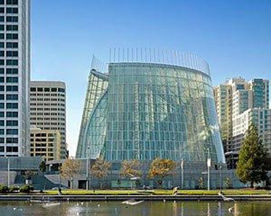 The Cathedral of Christ the Light