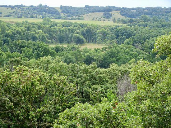 The Blood Run Nature Area