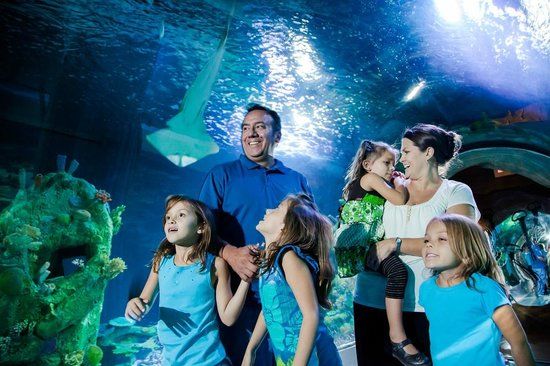 SEA LIFE Centre Arizona