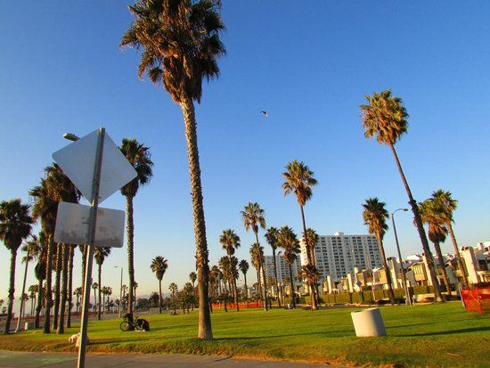 Palisades Park