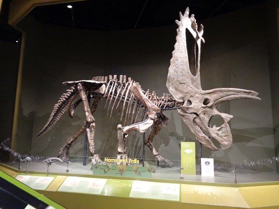 Sam Noble Oklahoma Museum of Natural History