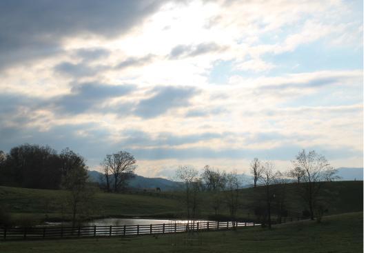 Sinkland Farms
