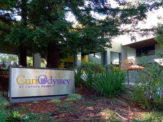 CuriOdyssey