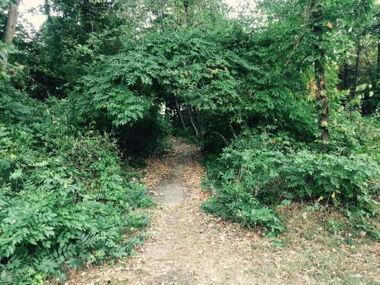 Freedom Hill Fort