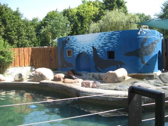 Utica Zoo
