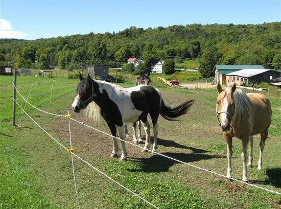 Adams Farm