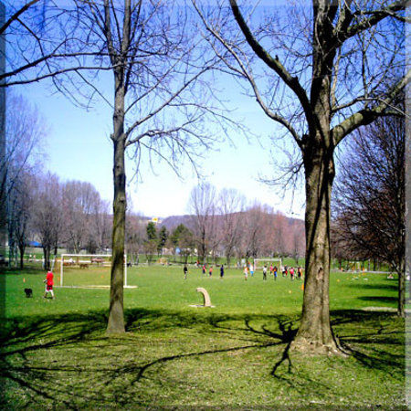 Otsiningo Park
