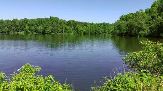 Buddy Attick Park