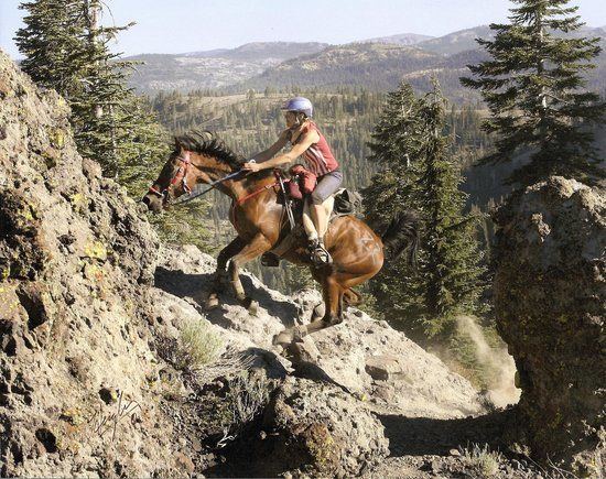 Granite Chief