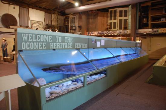 Oconee History Museum
