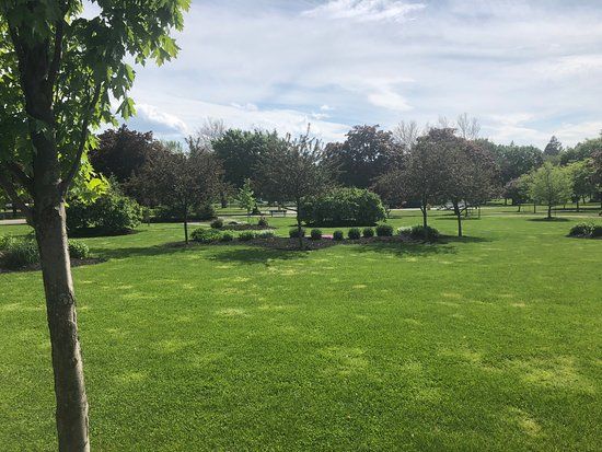Collins Park