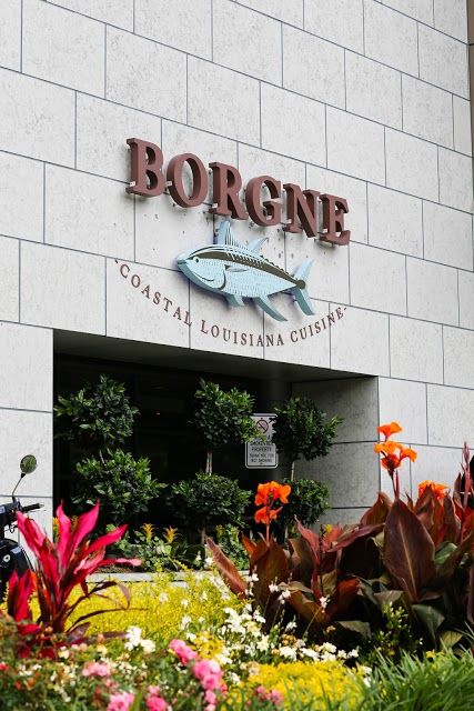 Borgne