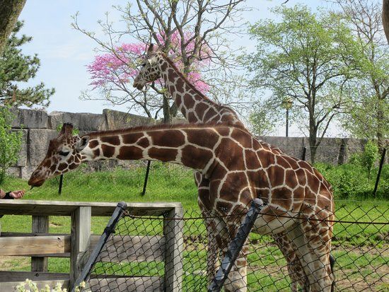Indianapolis Zoo